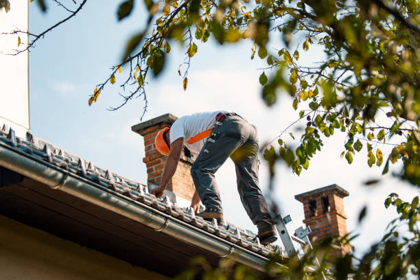Best Residential Roofing Contractor  in Lake Andes, SD